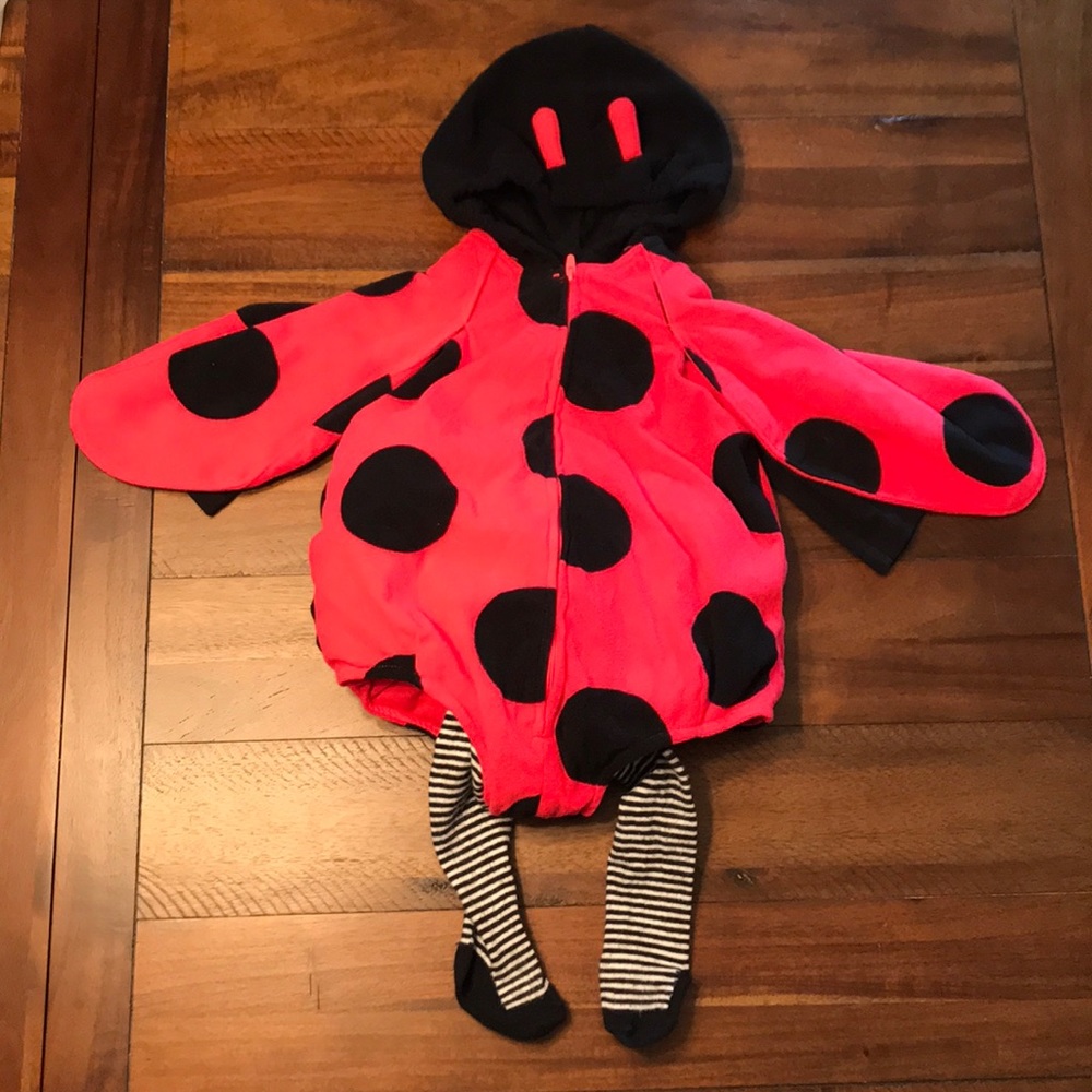 Ladybug Halloween Costume